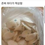 [댓글부탁해] 판하는 남잔데 이래도 극혐임?