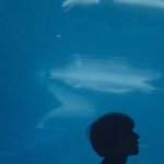 [NCT] 야 <b>이사진</b> 진짜 개레전드다