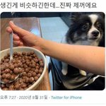 [드루와] 주인 <b>의심</b>하는 강아지