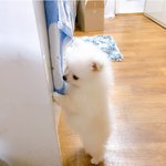 너네가 생각하는 <b>명문</b>대는 어디까지야?