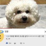[드루와] 너넨 인스타 팔로우 할 때