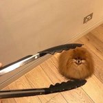 나 지금 심심하니까 엠비티아이 검사하고 올게