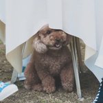 뉴나들 잘자!
