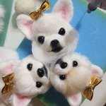 탄이도 이런거 <b>재작</b>해보지