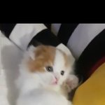 [드루와] 방금 진심 <b>치명적</b>인 거 봄ㅠㅠ찐으로 심쿵했당