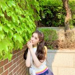 [19] 코로나 절대 안 사라질듯