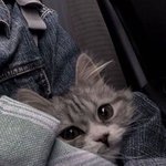[드루와] 촉으로 내 미래 직업 <b>궁예</b> 해바
