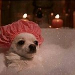 본진 <b>tmi</b> 파티 하자