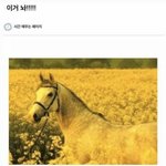 [댓글부탁해] 이거 보면서 웃어 얘들아