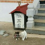 고2 정시충있냐