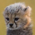 마크 <b>버블셀카</b> 유출할거임 ㅅㄱ