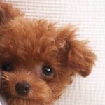 아 __ <b>개구</b>ㅐ여워 이게 누구야 ㅜㅜㅜㅜ