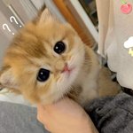 [댓글부탁해] 공부 경험담 부탁해 동기<b>부여</b> 받고싶어