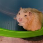 [드루와] <b>뉴런</b>이 뭔 씨피임???