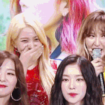 [레드벨벳] 팬톡 살리기 13일차 : 레벨 모음집