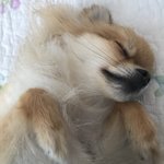 나도 얘 데리고 <b>일산</b>가는중ㅋㅋ