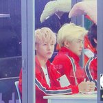 아니 <b>런쥔</b> 이거 도대체 홈마 누구임