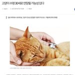 나만 요즘 고양이들 성격 바뀐거같음..?
