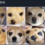 [드루와] 니네 내 <b>흑역사</b> 이길수 있음?