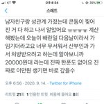 [19] 트위터 이 글 <b>주작</b>같지않냐