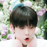 [TXT모아] ❣ 모아톡은 짤 안줘용 ❣