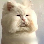 [NCT즌] 공부하고 올게