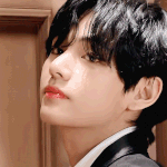 [ARMY] 김태형은 곰돌이다 <b>vs</b> 호랑이다