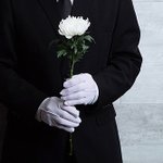 [이것좀봐줘] 자살하는 연예인들에게 해주고싶은말
