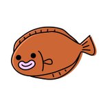 [ARMY] <b>가자미</b>들아 어때