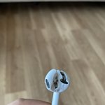 [댓글부탁해] 우리<b>집</b> 개시<b>끼</b>가 내 콩나물 아작냄