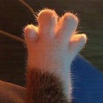 [19] 가수 중에 BLOO 있잖아