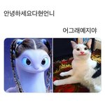 [드루와] 영어문장 <b>암기</b> 앱같은거 없냐