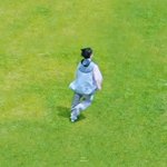 [ARMY] <b>이버</b> 볼때마다 너무 기여움