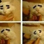 [댓글부탁해] 수학 답 좀 알려줘