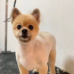 [개깊은빡침] 소개를 받았는데 실물이랑 사진이 다를때...