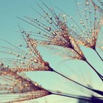 [수면] 진짜보다 무서운 "가짜"불면증?!