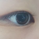 다들 <b>눈</b> 안아파? 속눈썹이 자꾸 <b>눈</b>을 찔러..