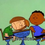 <b>이것저것</b> 짤 모음