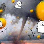 [TXT모아] <b>하늘</b>에서 귤이 내린다면..