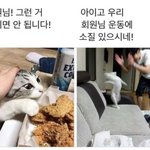 [유머] 헬스트레이너 <b>시점</b>