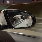 [TXT모아] 낼점심메뉴 정해졋어?