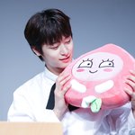 <b>닮음</b>