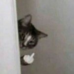 ❤느그들 <b>팬</b><b>톡</b>으로 꺼지거라❤