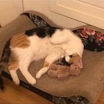 [NCT] 우리 애들 겨울 노래 뭐있지??