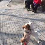 와 나 ㅈㄴ 심각해