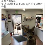 [댓글부탁해] 고깃집 된장<b>찌개</b> 레시피 아는사람