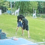 [ARMY] 얘둘<b>아아</b>앵ᆞㅋ