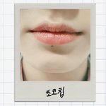 [ARMY] <b>초코칩</b>