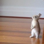 [댓글부탁해] 신박한 정리 <b>재방</b>중이네.<b>재방</b> 본방사수..''