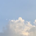 [추반] 난 일본이 싫어 근데 욕먹는게 정상일까